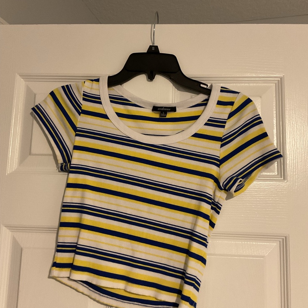 Multicolored Striped Crop Top